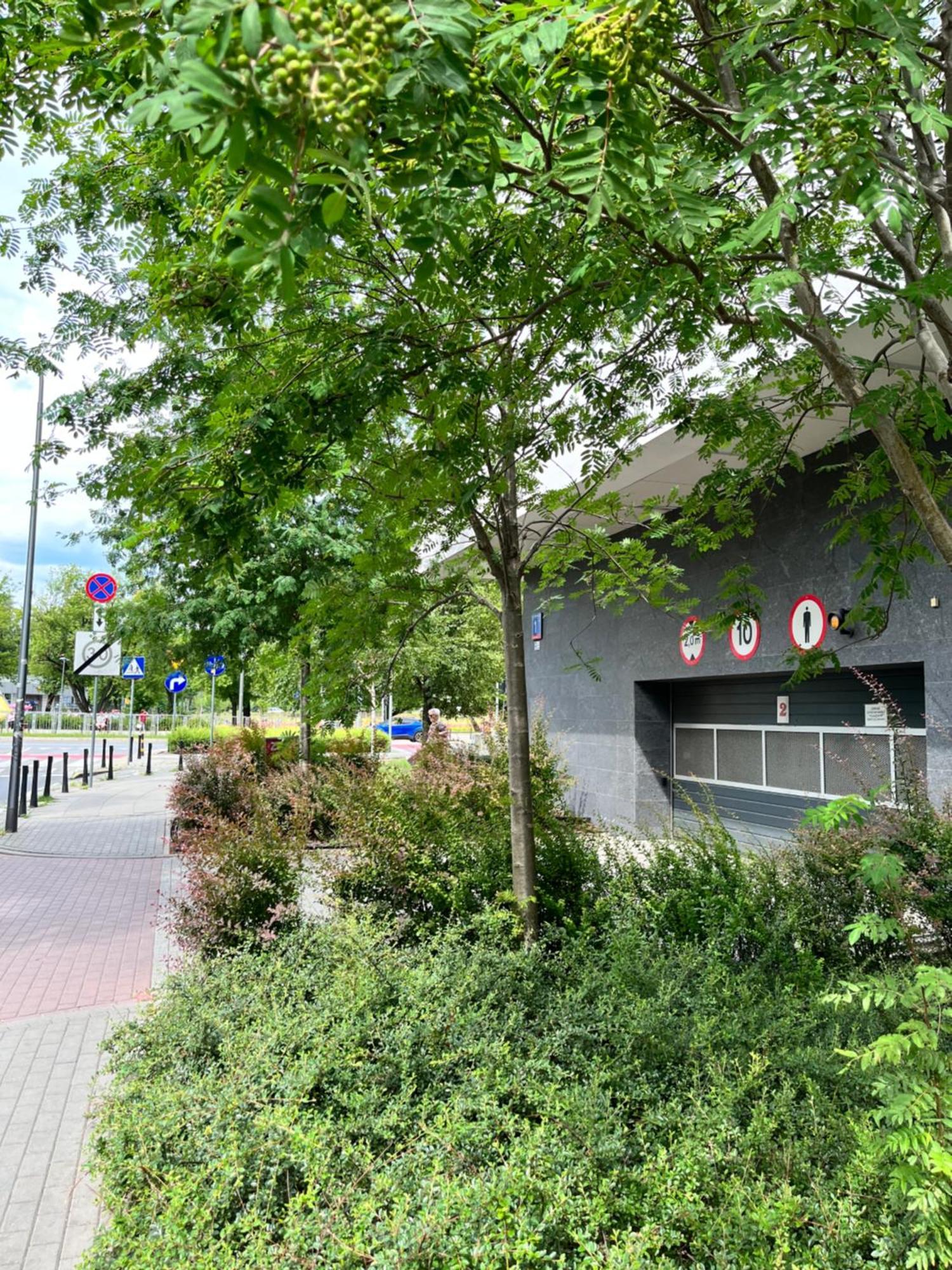 Apartment Metro Slodowiec Free Parking Varsovie Extérieur photo